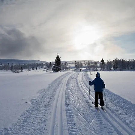 Spatind Fjellstue * Nord Torpa